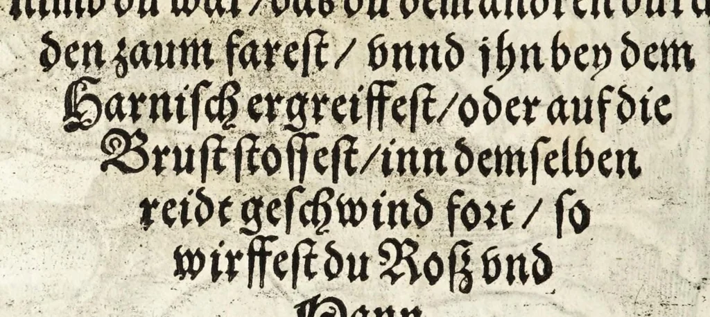 An illustration from Künstlicher Bericht vnd allerzierlichste Beschreybung des edlen, vhesten, vnnd hochberümbten Ehrn Friderici Grisonis Neapolitanischen hochlöblichen Adels : wie die streitbarn Pferdt (durch welche ritterliche Tugendten mehrers thails geübet) zum Ernst vnd ritterlicher Kurtzweil geschickt vnd volkommen zumachen .., 1573, leaf 292