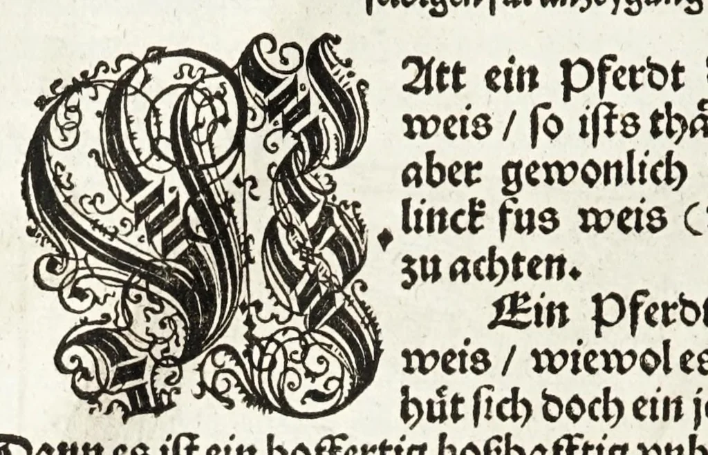 An illustration from Künstlicher Bericht vnd allerzierlichste Beschreybung des edlen, vhesten, vnnd hochberümbten Ehrn Friderici Grisonis Neapolitanischen hochlöblichen Adels : wie die streitbarn Pferdt (durch welche ritterliche Tugendten mehrers thails geübet) zum Ernst vnd ritterlicher Kurtzweil geschickt vnd volkommen zumachen .., 1573, leaf 32