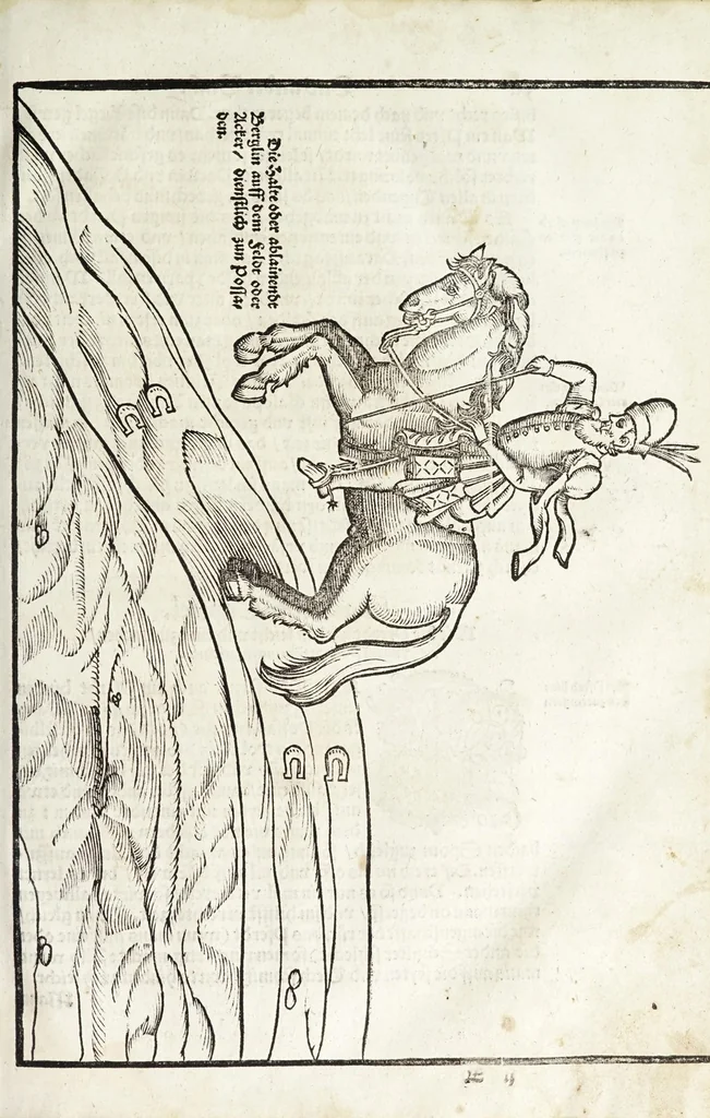 An illustration from Künstlicher Bericht vnd allerzierlichste Beschreybung des edlen, vhesten, vnnd hochberümbten Ehrn Friderici Grisonis Neapolitanischen hochlöblichen Adels : wie die streitbarn Pferdt (durch welche ritterliche Tugendten mehrers thails geübet) zum Ernst vnd ritterlicher Kurtzweil geschickt vnd volkommen zumachen .., 1573, leaf 73