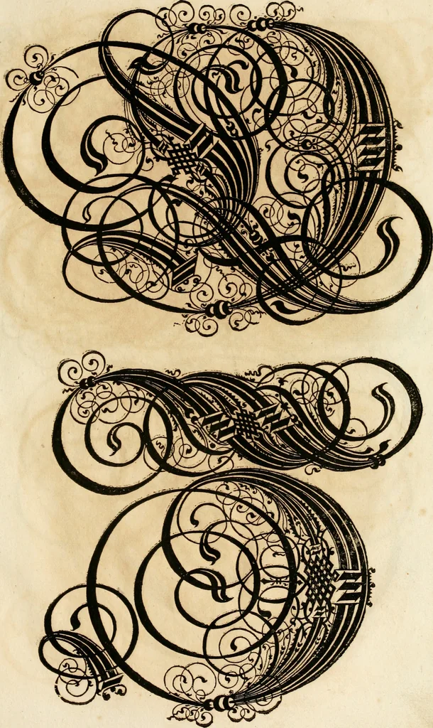 An illustration from Kunstrichtige Schreibart : allerhand Versalie[n] oder AnfangsBuchstabe[n] der teütschen, lateinischen und italianischen Schrifften aus unterschiedlichen Meistern der edlen Schreibkunst zusammen getragen, 1655, leaf 106