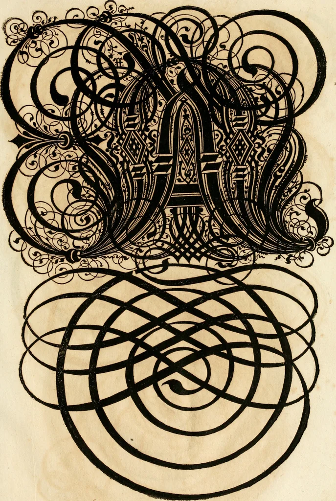 An illustration from Kunstrichtige Schreibart : allerhand Versalie[n] oder AnfangsBuchstabe[n] der teütschen, lateinischen und italianischen Schrifften aus unterschiedlichen Meistern der edlen Schreibkunst zusammen getragen, 1655, leaf 108