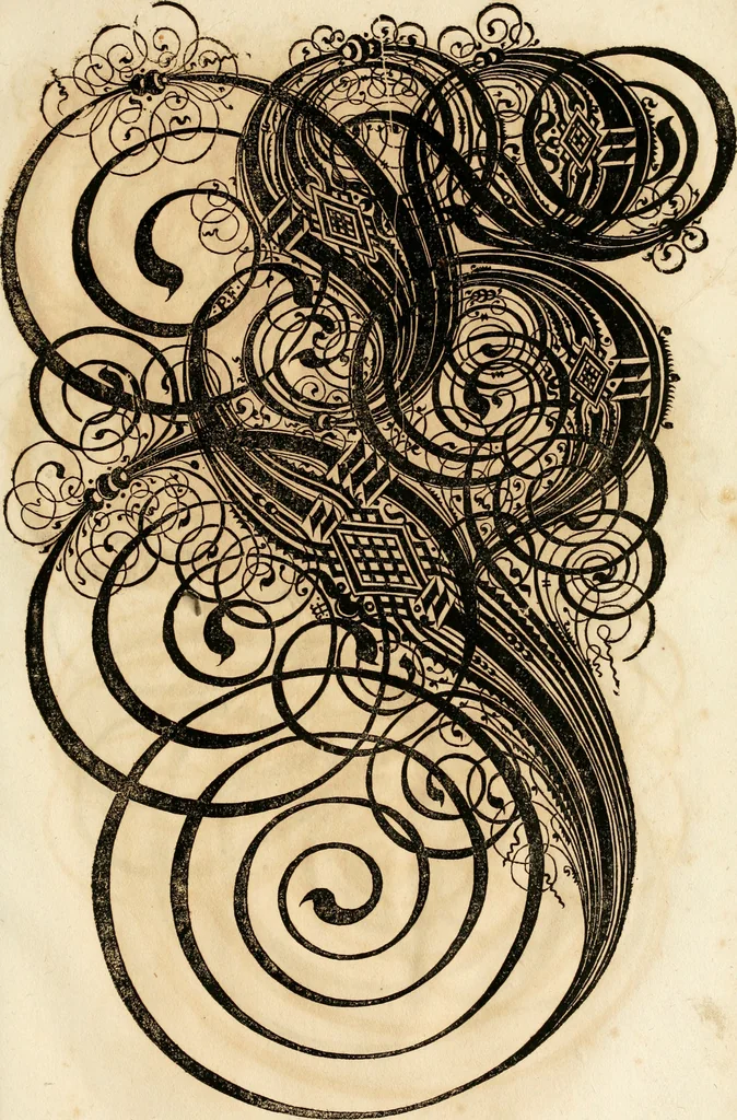 An illustration from Kunstrichtige Schreibart : allerhand Versalie[n] oder AnfangsBuchstabe[n] der teütschen, lateinischen und italianischen Schrifften aus unterschiedlichen Meistern der edlen Schreibkunst zusammen getragen, 1655, leaf 110