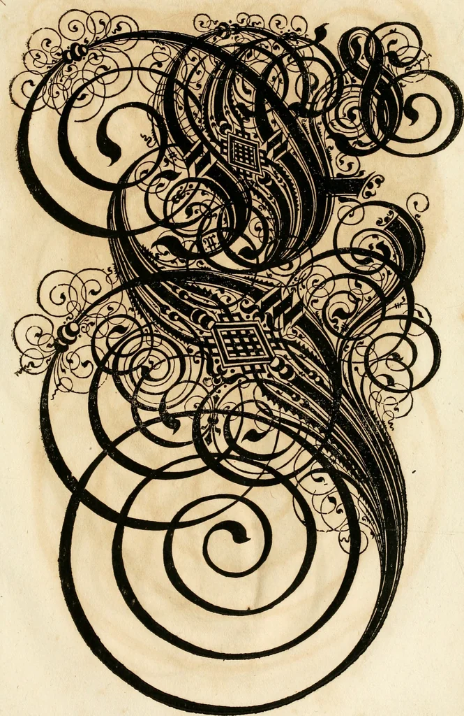 An illustration from Kunstrichtige Schreibart : allerhand Versalie[n] oder AnfangsBuchstabe[n] der teütschen, lateinischen und italianischen Schrifften aus unterschiedlichen Meistern der edlen Schreibkunst zusammen getragen, 1655, leaf 116