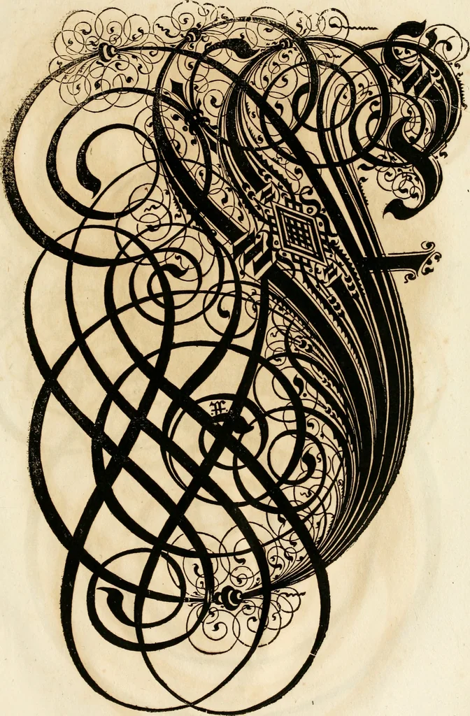 An illustration from Kunstrichtige Schreibart : allerhand Versalie[n] oder AnfangsBuchstabe[n] der teütschen, lateinischen und italianischen Schrifften aus unterschiedlichen Meistern der edlen Schreibkunst zusammen getragen, 1655, leaf 118