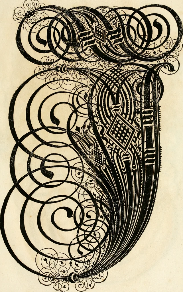 An illustration from Kunstrichtige Schreibart : allerhand Versalie[n] oder AnfangsBuchstabe[n] der teütschen, lateinischen und italianischen Schrifften aus unterschiedlichen Meistern der edlen Schreibkunst zusammen getragen, 1655, leaf 124