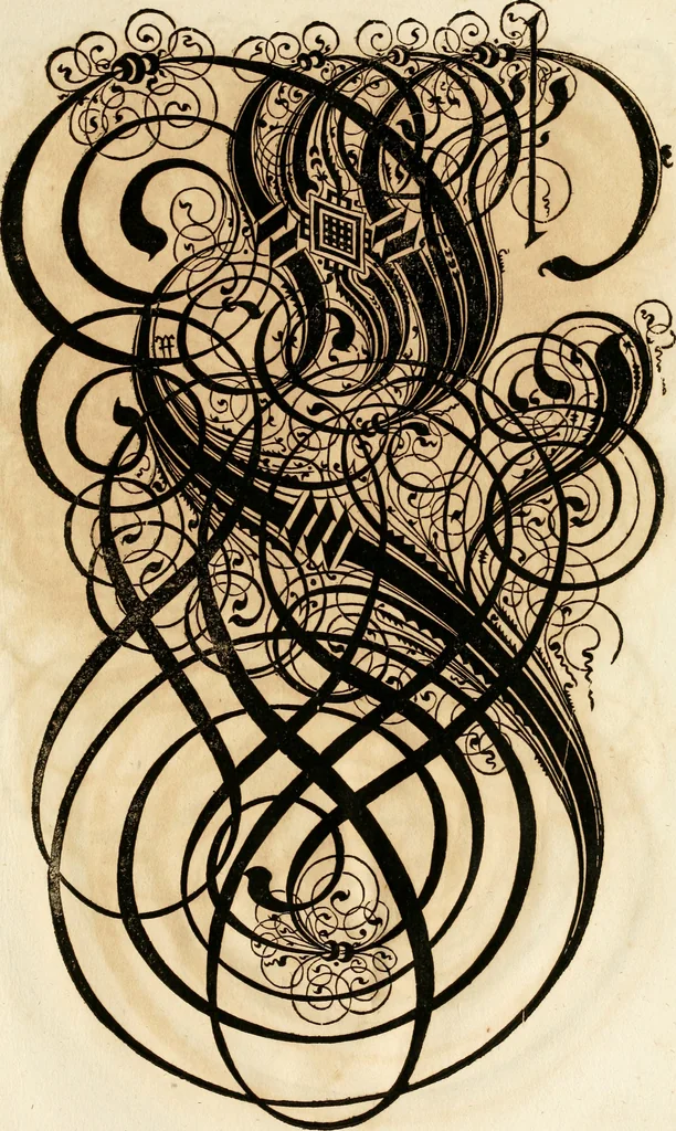 An illustration from Kunstrichtige Schreibart : allerhand Versalie[n] oder AnfangsBuchstabe[n] der teütschen, lateinischen und italianischen Schrifften aus unterschiedlichen Meistern der edlen Schreibkunst zusammen getragen, 1655, leaf 128