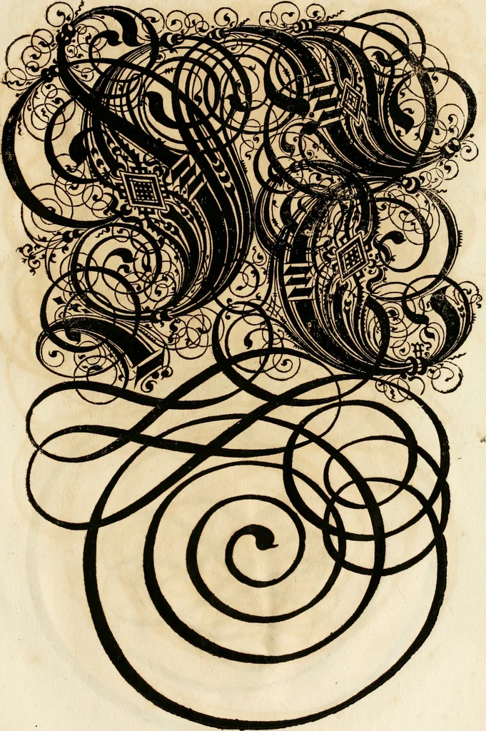 An illustration from Kunstrichtige Schreibart : allerhand Versalie[n] oder AnfangsBuchstabe[n] der teütschen, lateinischen und italianischen Schrifften aus unterschiedlichen Meistern der edlen Schreibkunst zusammen getragen, 1655, leaf 132