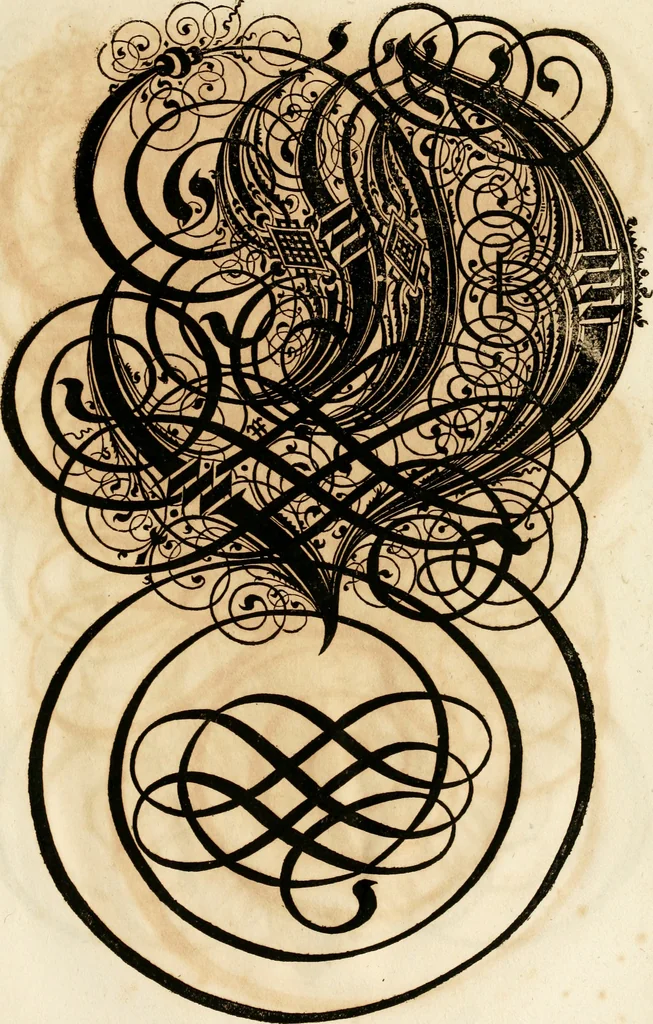 An illustration from Kunstrichtige Schreibart : allerhand Versalie[n] oder AnfangsBuchstabe[n] der teütschen, lateinischen und italianischen Schrifften aus unterschiedlichen Meistern der edlen Schreibkunst zusammen getragen, 1655, leaf 134
