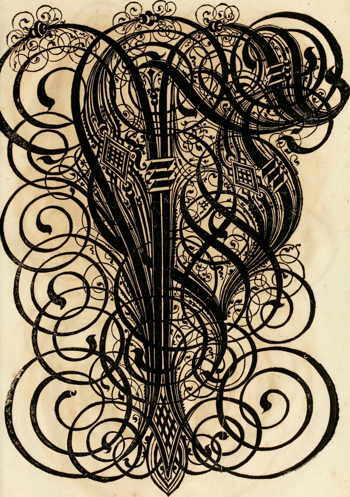 An illustration from Kunstrichtige Schreibart : allerhand Versalie[n] oder AnfangsBuchstabe[n] der teütschen, lateinischen und italianischen Schrifften aus unterschiedlichen Meistern der edlen Schreibkunst zusammen getragen, 1655, leaf 136