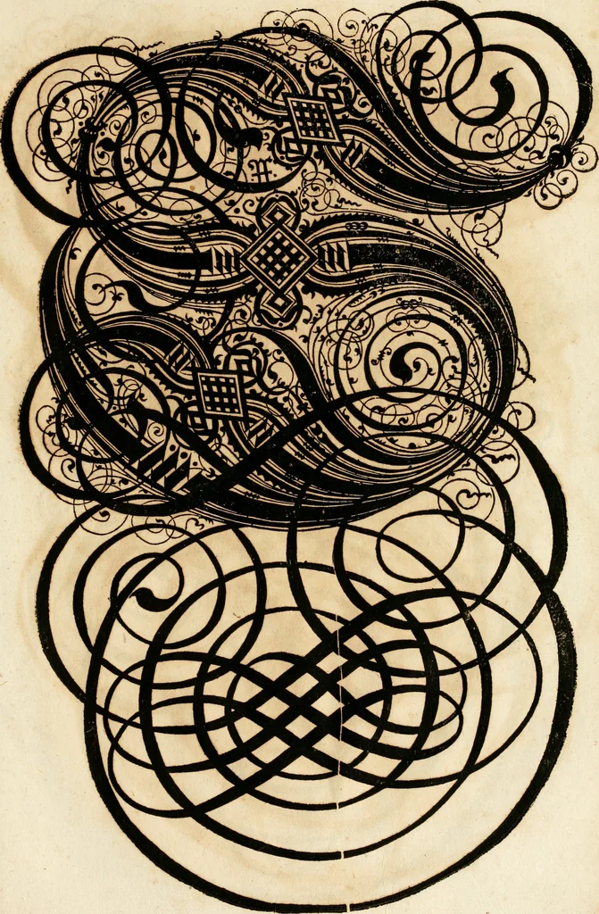 An illustration from Kunstrichtige Schreibart : allerhand Versalie[n] oder AnfangsBuchstabe[n] der teütschen, lateinischen und italianischen Schrifften aus unterschiedlichen Meistern der edlen Schreibkunst zusammen getragen, 1655, leaf 142