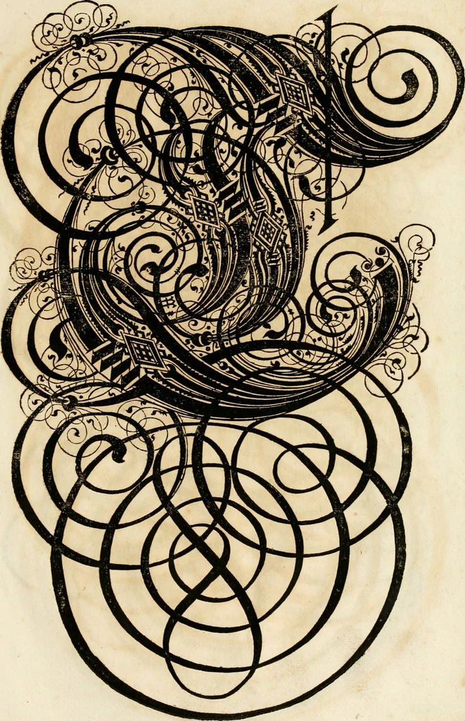 An illustration from Kunstrichtige Schreibart : allerhand Versalie[n] oder AnfangsBuchstabe[n] der teütschen, lateinischen und italianischen Schrifften aus unterschiedlichen Meistern der edlen Schreibkunst zusammen getragen, 1655, leaf 144