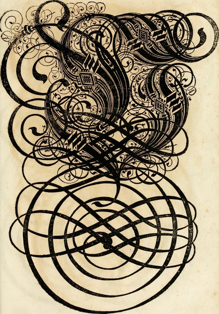 An illustration from Kunstrichtige Schreibart : allerhand Versalie[n] oder AnfangsBuchstabe[n] der teütschen, lateinischen und italianischen Schrifften aus unterschiedlichen Meistern der edlen Schreibkunst zusammen getragen, 1655, leaf 146