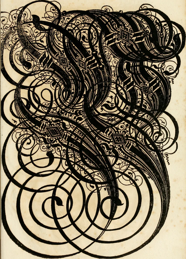 An illustration from Kunstrichtige Schreibart : allerhand Versalie[n] oder AnfangsBuchstabe[n] der teütschen, lateinischen und italianischen Schrifften aus unterschiedlichen Meistern der edlen Schreibkunst zusammen getragen, 1655, leaf 148