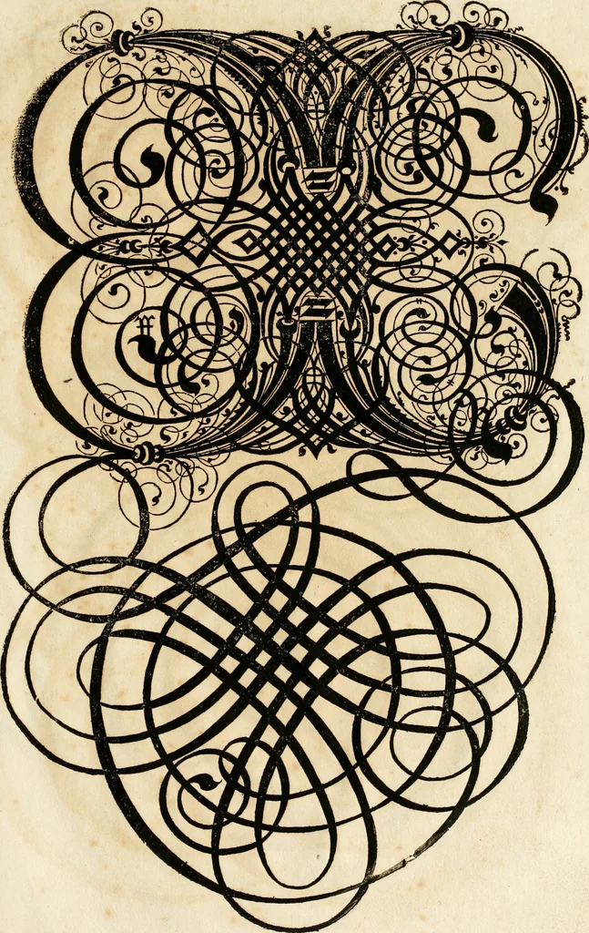An illustration from Kunstrichtige Schreibart : allerhand Versalie[n] oder AnfangsBuchstabe[n] der teütschen, lateinischen und italianischen Schrifften aus unterschiedlichen Meistern der edlen Schreibkunst zusammen getragen, 1655, leaf 150