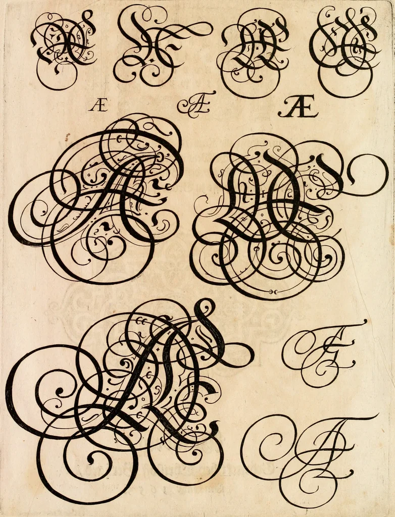 An illustration from Kunstrichtige Schreibart : allerhand Versalie[n] oder AnfangsBuchstabe[n] der teütschen, lateinischen und italianischen Schrifften aus unterschiedlichen Meistern der edlen Schreibkunst zusammen getragen, 1655, leaf 162