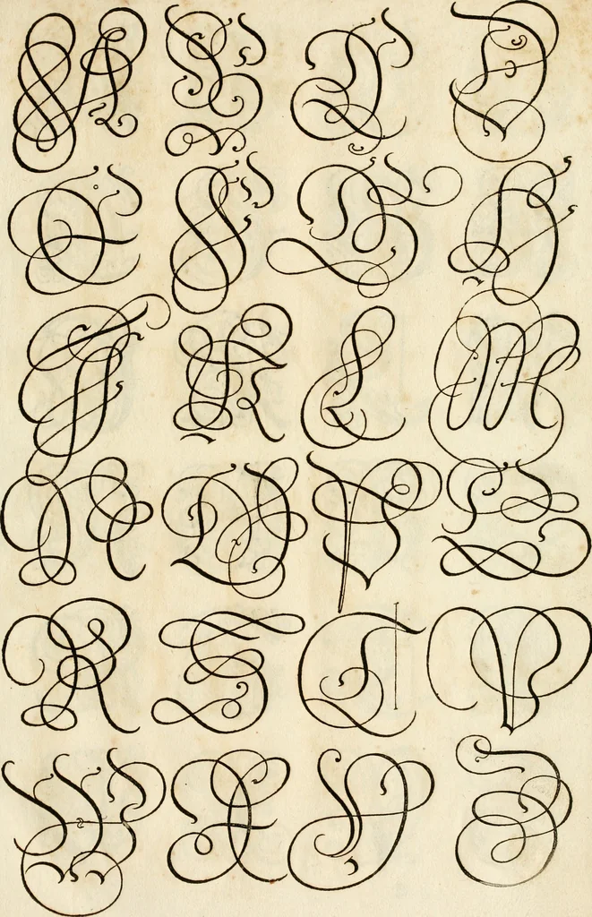 An illustration from Kunstrichtige Schreibart : allerhand Versalie[n] oder AnfangsBuchstabe[n] der teütschen, lateinischen und italianischen Schrifften aus unterschiedlichen Meistern der edlen Schreibkunst zusammen getragen, 1655, leaf 24