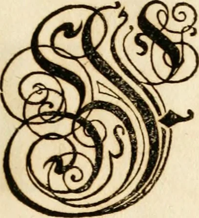 An illustration from Kunstrichtige Schreibart : allerhand Versalie[n] oder AnfangsBuchstabe[n] der teütschen, lateinischen und italianischen Schrifften aus unterschiedlichen Meistern der edlen Schreibkunst zusammen getragen, 1655, leaf 26