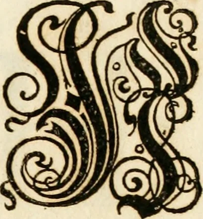 An illustration from Kunstrichtige Schreibart : allerhand Versalie[n] oder AnfangsBuchstabe[n] der teütschen, lateinischen und italianischen Schrifften aus unterschiedlichen Meistern der edlen Schreibkunst zusammen getragen, 1655, leaf 26