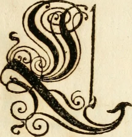 An illustration from Kunstrichtige Schreibart : allerhand Versalie[n] oder AnfangsBuchstabe[n] der teütschen, lateinischen und italianischen Schrifften aus unterschiedlichen Meistern der edlen Schreibkunst zusammen getragen, 1655, leaf 26