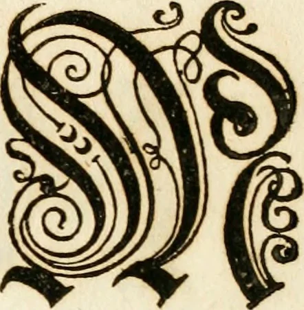 An illustration from Kunstrichtige Schreibart : allerhand Versalie[n] oder AnfangsBuchstabe[n] der teütschen, lateinischen und italianischen Schrifften aus unterschiedlichen Meistern der edlen Schreibkunst zusammen getragen, 1655, leaf 26