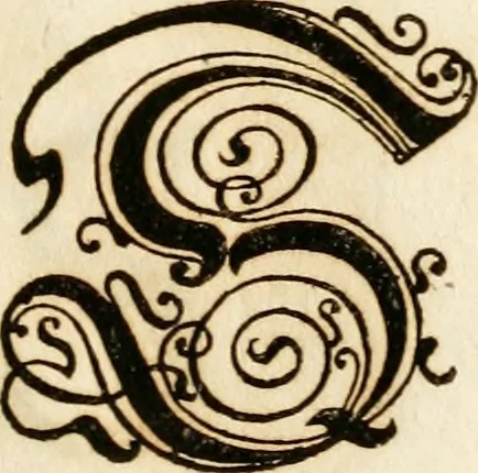 An illustration from Kunstrichtige Schreibart : allerhand Versalie[n] oder AnfangsBuchstabe[n] der teütschen, lateinischen und italianischen Schrifften aus unterschiedlichen Meistern der edlen Schreibkunst zusammen getragen, 1655, leaf 26