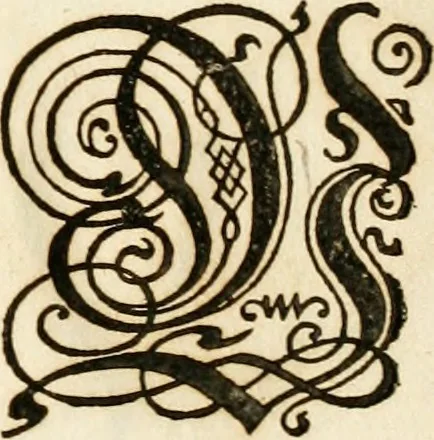 An illustration from Kunstrichtige Schreibart : allerhand Versalie[n] oder AnfangsBuchstabe[n] der teütschen, lateinischen und italianischen Schrifften aus unterschiedlichen Meistern der edlen Schreibkunst zusammen getragen, 1655, leaf 26