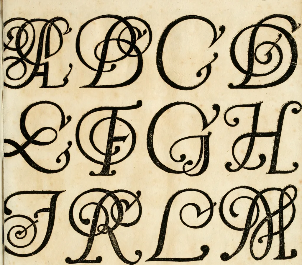 An illustration from Kunstrichtige Schreibart : allerhand Versalie[n] oder AnfangsBuchstabe[n] der teütschen, lateinischen und italianischen Schrifften aus unterschiedlichen Meistern der edlen Schreibkunst zusammen getragen, 1655, leaf 30