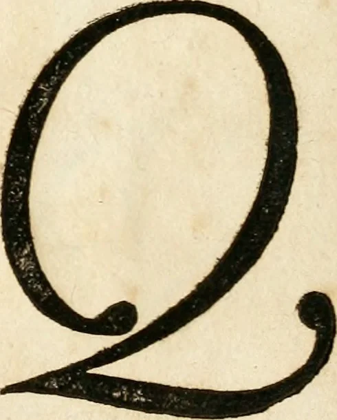 An illustration from Kunstrichtige Schreibart : allerhand Versalie[n] oder AnfangsBuchstabe[n] der teütschen, lateinischen und italianischen Schrifften aus unterschiedlichen Meistern der edlen Schreibkunst zusammen getragen, 1655, leaf 30