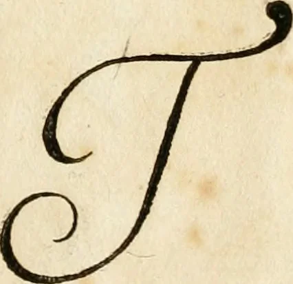 An illustration from Kunstrichtige Schreibart : allerhand Versalie[n] oder AnfangsBuchstabe[n] der teütschen, lateinischen und italianischen Schrifften aus unterschiedlichen Meistern der edlen Schreibkunst zusammen getragen, 1655, leaf 32