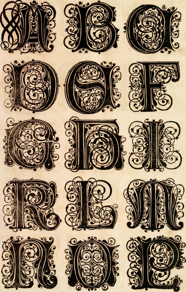 An illustration from Kunstrichtige Schreibart : allerhand Versalie[n] oder AnfangsBuchstabe[n] der teütschen, lateinischen und italianischen Schrifften aus unterschiedlichen Meistern der edlen Schreibkunst zusammen getragen, 1655, leaf 36