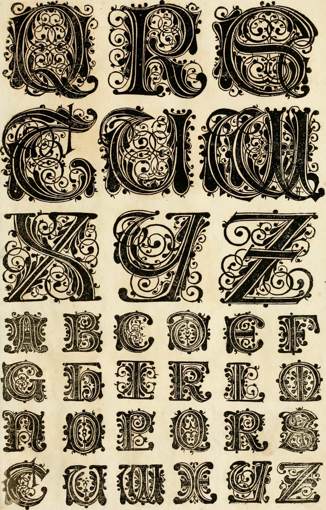 An illustration from Kunstrichtige Schreibart : allerhand Versalie[n] oder AnfangsBuchstabe[n] der teütschen, lateinischen und italianischen Schrifften aus unterschiedlichen Meistern der edlen Schreibkunst zusammen getragen, 1655, leaf 38