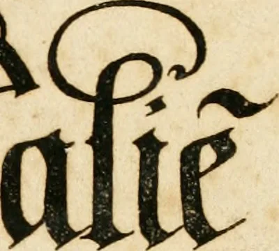 An illustration from Kunstrichtige Schreibart : allerhand Versalie[n] oder AnfangsBuchstabe[n] der teütschen, lateinischen und italianischen Schrifften aus unterschiedlichen Meistern der edlen Schreibkunst zusammen getragen, 1655, leaf 4