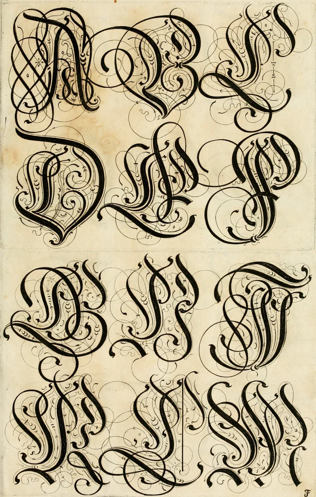 An illustration from Kunstrichtige Schreibart : allerhand Versalie[n] oder AnfangsBuchstabe[n] der teütschen, lateinischen und italianischen Schrifften aus unterschiedlichen Meistern der edlen Schreibkunst zusammen getragen, 1655, leaf 40