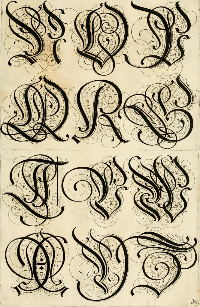 An illustration from Kunstrichtige Schreibart : allerhand Versalie[n] oder AnfangsBuchstabe[n] der teütschen, lateinischen und italianischen Schrifften aus unterschiedlichen Meistern der edlen Schreibkunst zusammen getragen, 1655, leaf 42