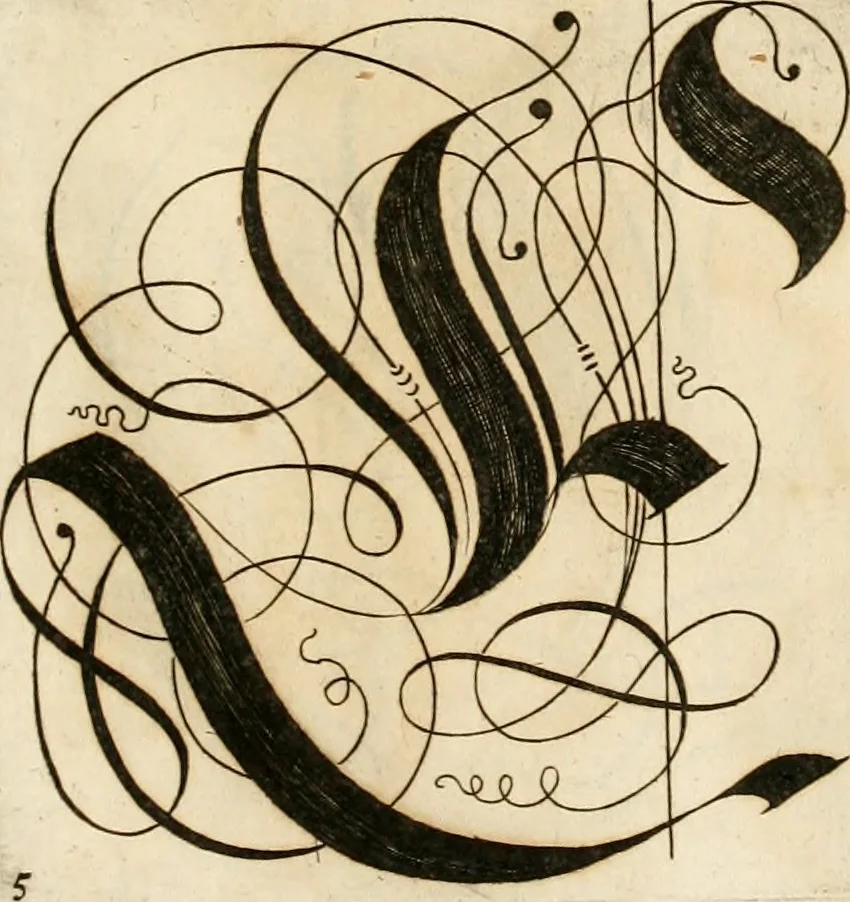 An illustration from Kunstrichtige Schreibart : allerhand Versalie[n] oder AnfangsBuchstabe[n] der teütschen, lateinischen und italianischen Schrifften aus unterschiedlichen Meistern der edlen Schreibkunst zusammen getragen, 1655, leaf 48