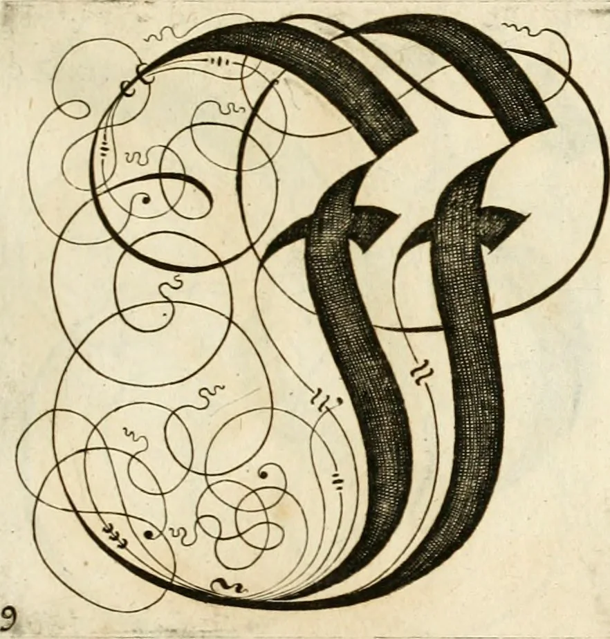 An illustration from Kunstrichtige Schreibart : allerhand Versalie[n] oder AnfangsBuchstabe[n] der teütschen, lateinischen und italianischen Schrifften aus unterschiedlichen Meistern der edlen Schreibkunst zusammen getragen, 1655, leaf 50