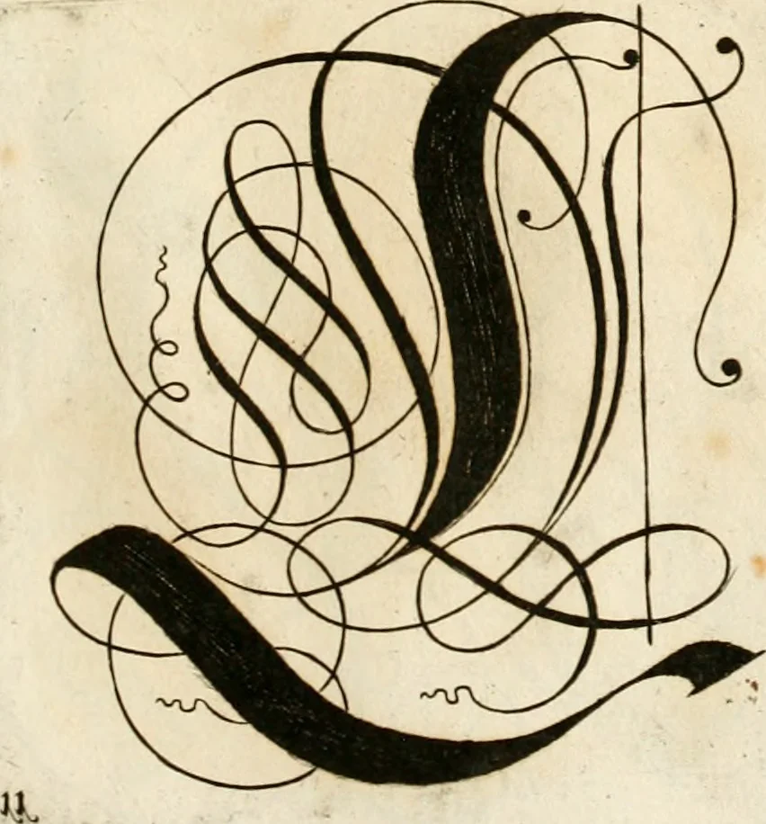 An illustration from Kunstrichtige Schreibart : allerhand Versalie[n] oder AnfangsBuchstabe[n] der teütschen, lateinischen und italianischen Schrifften aus unterschiedlichen Meistern der edlen Schreibkunst zusammen getragen, 1655, leaf 50