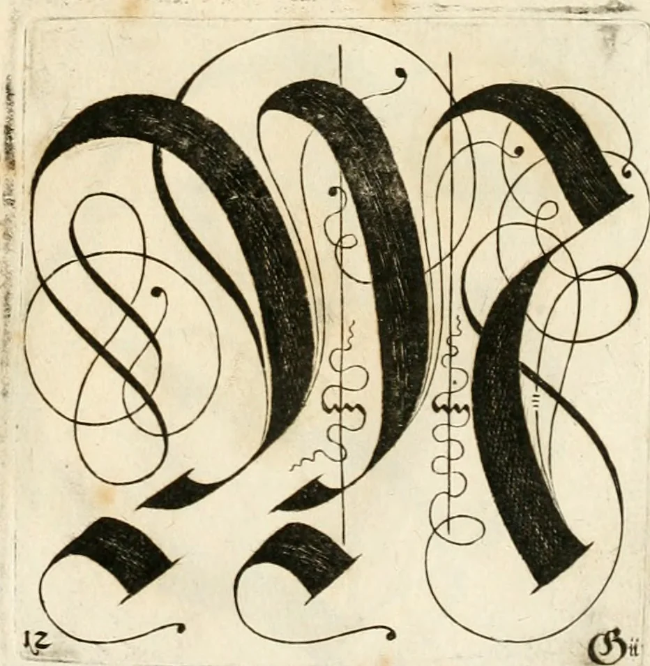 An illustration from Kunstrichtige Schreibart : allerhand Versalie[n] oder AnfangsBuchstabe[n] der teütschen, lateinischen und italianischen Schrifften aus unterschiedlichen Meistern der edlen Schreibkunst zusammen getragen, 1655, leaf 50