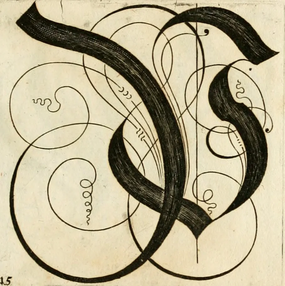 An illustration from Kunstrichtige Schreibart : allerhand Versalie[n] oder AnfangsBuchstabe[n] der teütschen, lateinischen und italianischen Schrifften aus unterschiedlichen Meistern der edlen Schreibkunst zusammen getragen, 1655, leaf 52