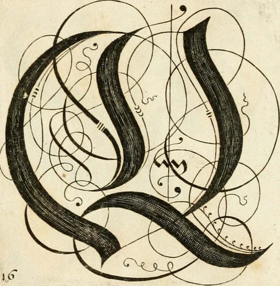 An illustration from Kunstrichtige Schreibart : allerhand Versalie[n] oder AnfangsBuchstabe[n] der teütschen, lateinischen und italianischen Schrifften aus unterschiedlichen Meistern der edlen Schreibkunst zusammen getragen, 1655, leaf 52