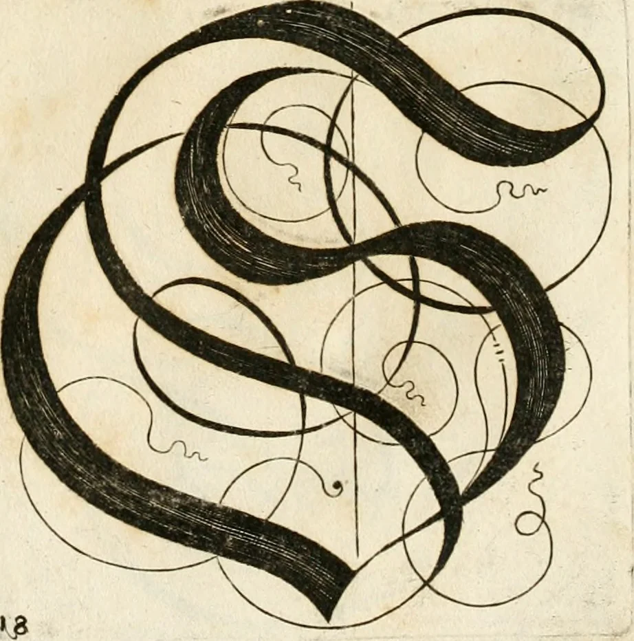 An illustration from Kunstrichtige Schreibart : allerhand Versalie[n] oder AnfangsBuchstabe[n] der teütschen, lateinischen und italianischen Schrifften aus unterschiedlichen Meistern der edlen Schreibkunst zusammen getragen, 1655, leaf 52