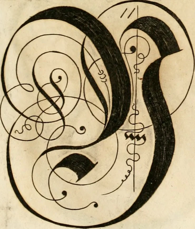 An illustration from Kunstrichtige Schreibart : allerhand Versalie[n] oder AnfangsBuchstabe[n] der teütschen, lateinischen und italianischen Schrifften aus unterschiedlichen Meistern der edlen Schreibkunst zusammen getragen, 1655, leaf 54