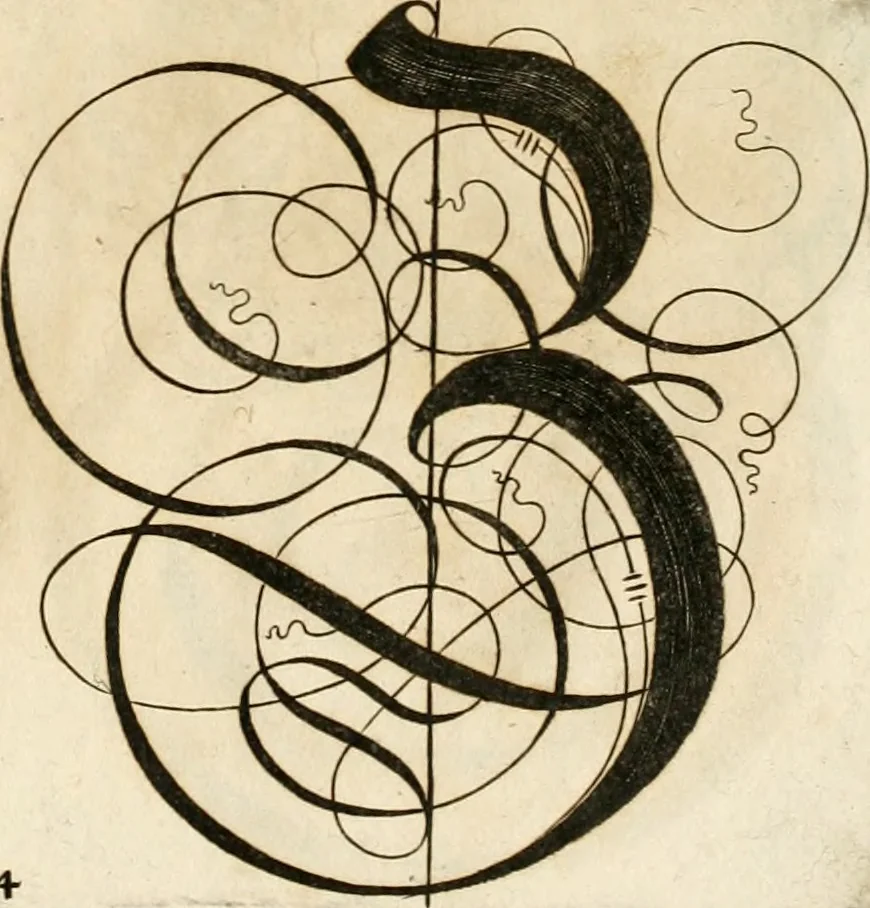 An illustration from Kunstrichtige Schreibart : allerhand Versalie[n] oder AnfangsBuchstabe[n] der teütschen, lateinischen und italianischen Schrifften aus unterschiedlichen Meistern der edlen Schreibkunst zusammen getragen, 1655, leaf 54