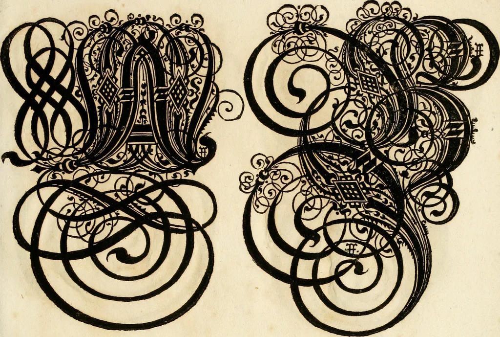 An illustration from Kunstrichtige Schreibart : allerhand Versalie[n] oder AnfangsBuchstabe[n] der teütschen, lateinischen und italianischen Schrifften aus unterschiedlichen Meistern der edlen Schreibkunst zusammen getragen, 1655, leaf 56