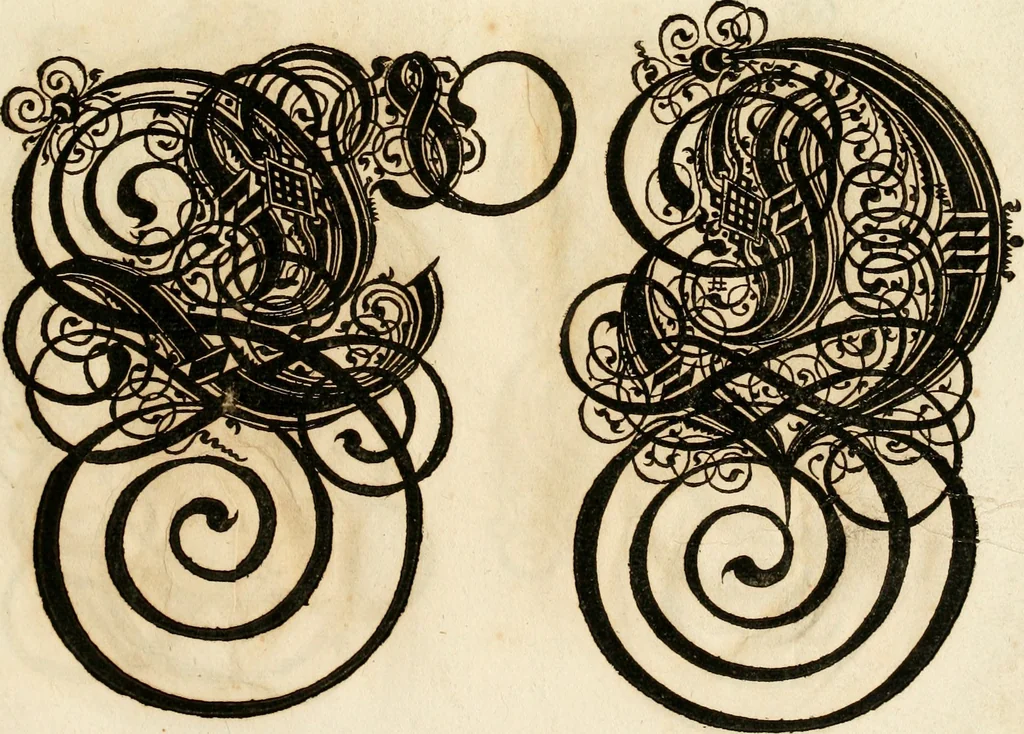 An illustration from Kunstrichtige Schreibart : allerhand Versalie[n] oder AnfangsBuchstabe[n] der teütschen, lateinischen und italianischen Schrifften aus unterschiedlichen Meistern der edlen Schreibkunst zusammen getragen, 1655, leaf 56