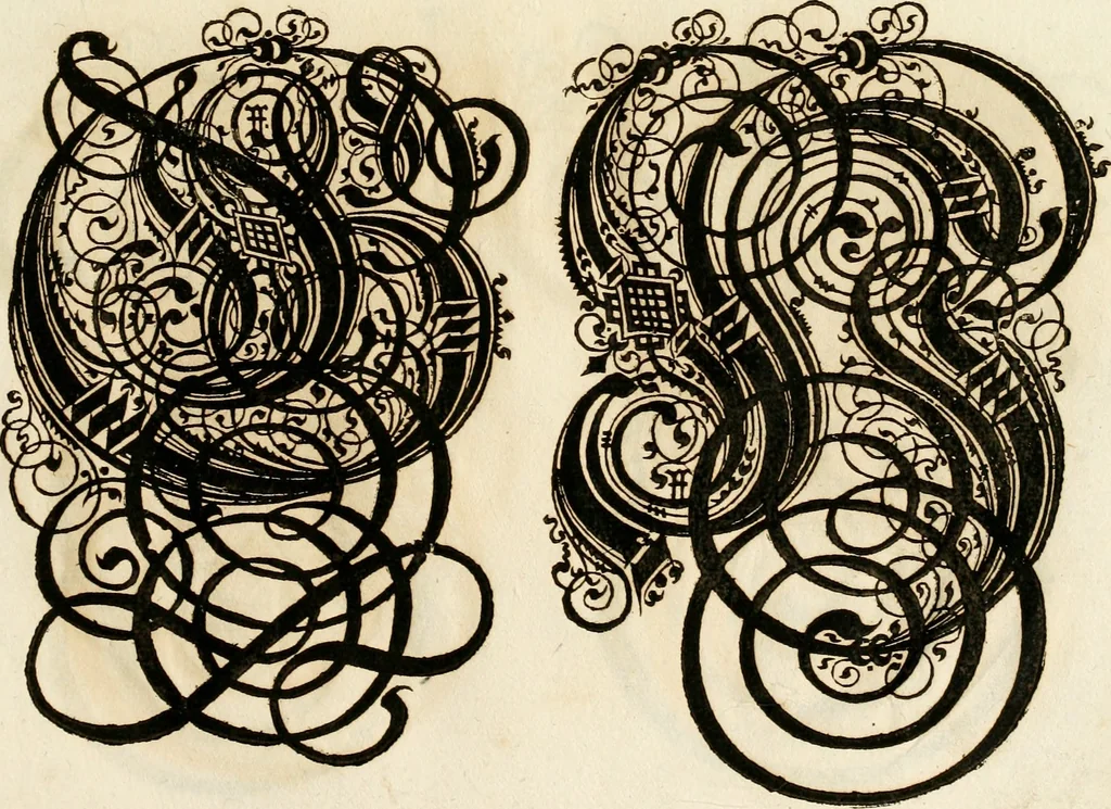 An illustration from Kunstrichtige Schreibart : allerhand Versalie[n] oder AnfangsBuchstabe[n] der teütschen, lateinischen und italianischen Schrifften aus unterschiedlichen Meistern der edlen Schreibkunst zusammen getragen, 1655, leaf 58