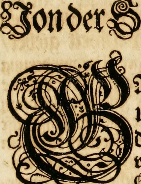 An illustration from Kunstrichtige Schreibart : allerhand Versalie[n] oder AnfangsBuchstabe[n] der teütschen, lateinischen und italianischen Schrifften aus unterschiedlichen Meistern der edlen Schreibkunst zusammen getragen, 1655, leaf 6