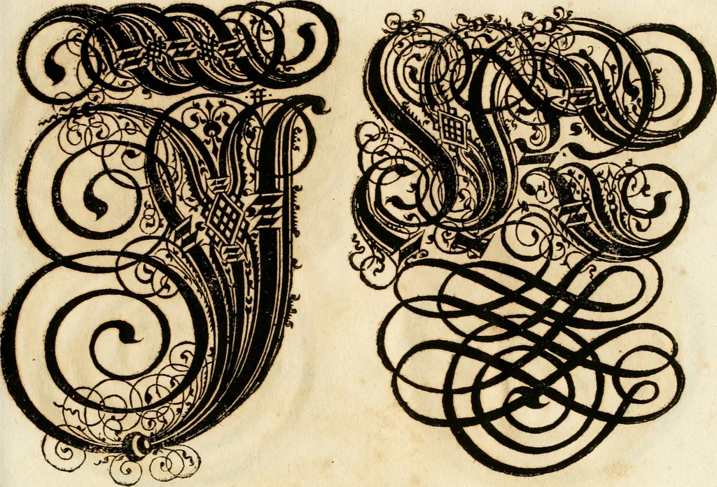 An illustration from Kunstrichtige Schreibart : allerhand Versalie[n] oder AnfangsBuchstabe[n] der teütschen, lateinischen und italianischen Schrifften aus unterschiedlichen Meistern der edlen Schreibkunst zusammen getragen, 1655, leaf 60