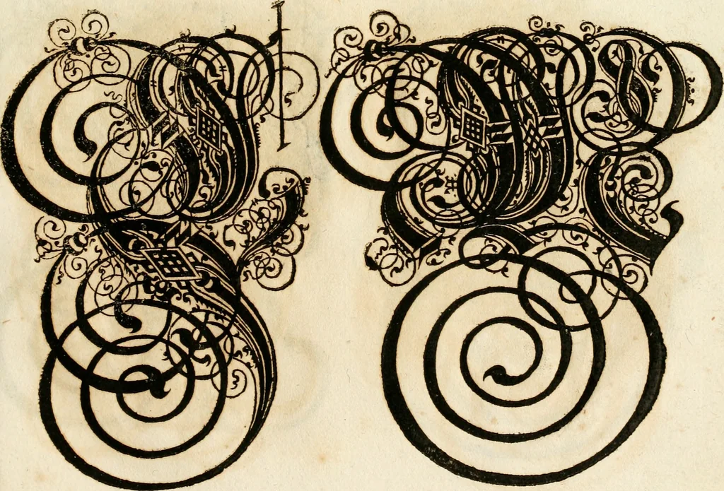 An illustration from Kunstrichtige Schreibart : allerhand Versalie[n] oder AnfangsBuchstabe[n] der teütschen, lateinischen und italianischen Schrifften aus unterschiedlichen Meistern der edlen Schreibkunst zusammen getragen, 1655, leaf 60