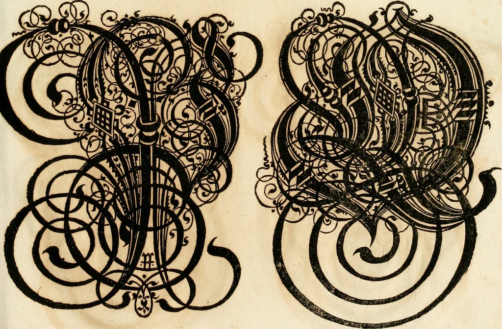 An illustration from Kunstrichtige Schreibart : allerhand Versalie[n] oder AnfangsBuchstabe[n] der teütschen, lateinischen und italianischen Schrifften aus unterschiedlichen Meistern der edlen Schreibkunst zusammen getragen, 1655, leaf 62